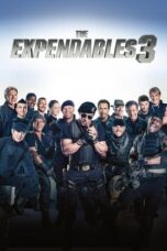 The Expendables 3 (2014) BluRay Dual Audio [Hindi 5.1 + English 5.1] 720p + 480p ESub