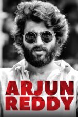 Arjun Reddy (2017) 360p + 720p + 1080p AMZN WEB-DL x265 10bit HEVC [Org Hindi DDP 5.1 ~ 384Kbps + Telugu DDP5.1] MSub