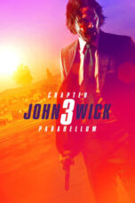 John Wick Chapter 3 – Parabellum (2019) 360p + 720p + 1080p + 2160p 4k 10bit BluRay x265 HEVC [Org VP Hindi DD 2.0 ~ 384Kbps + English AAC 5.1] ESubs