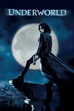 Underworld (2003) BluRay Hindi English 720p + 480p AAC 5.1 x264 ESub