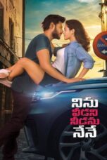 Ninnu Veedani Needanu Nene (2019) {Hindi-Telugu} 360p + 480p + 720p + 1080p WEB-DL ESub