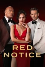 Red Notice (2021) BluRay Dual Audio [Hindi DD5.1 + English DD5.1] 480p | 720p | 1080p ESub