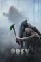 Prey (2022) DSNP BluRay [Hindi + English (DDP 5.1)] 1080p 720p 480p ESub