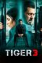 Tiger 3 (2023) 1080p CAMRip V2 HINDI ORG Watch Online (1XBET)